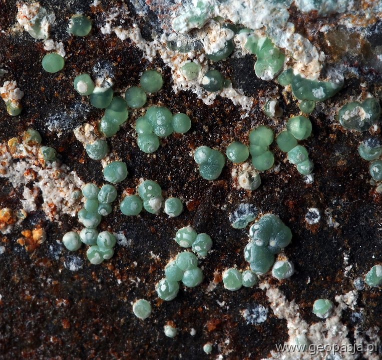 Wavellit - Brodziszów, Wzgórza Bielawskie (1.5 cm)